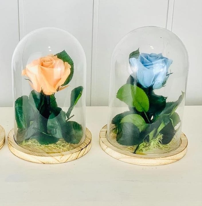 Rosas preservadas en cúpula - La Victoria Arte Floral